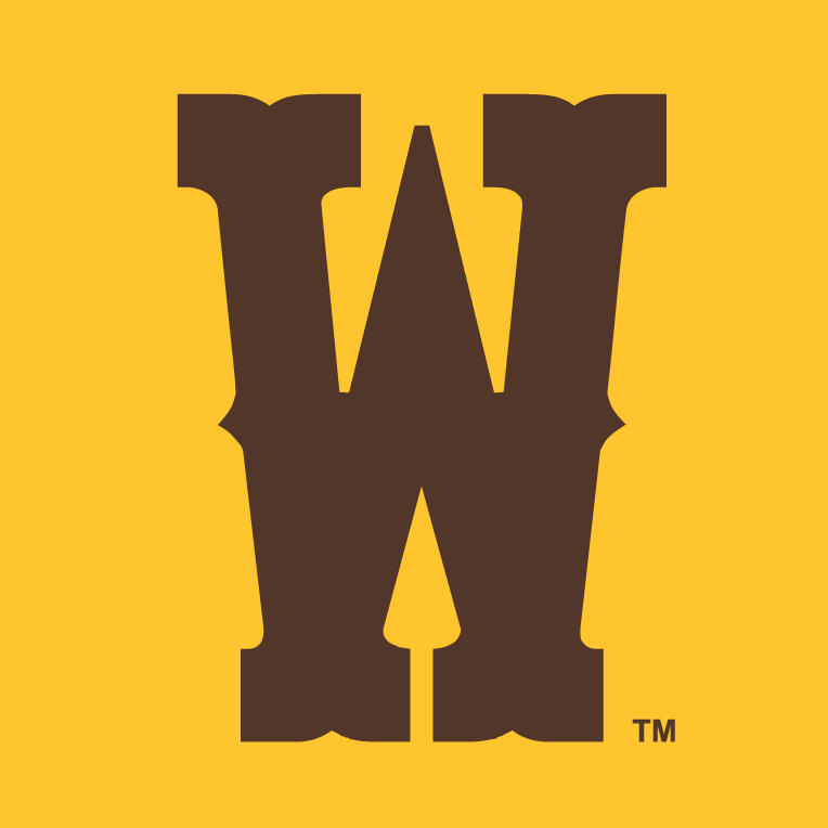 Wyoming Cowboys 2013-Pres Secondary Logo v3 iron on transfers for T-shirts